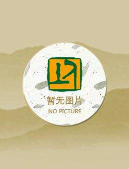 重生八零:佳妻致富忙